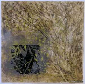 My intervention on Paulina's etching
